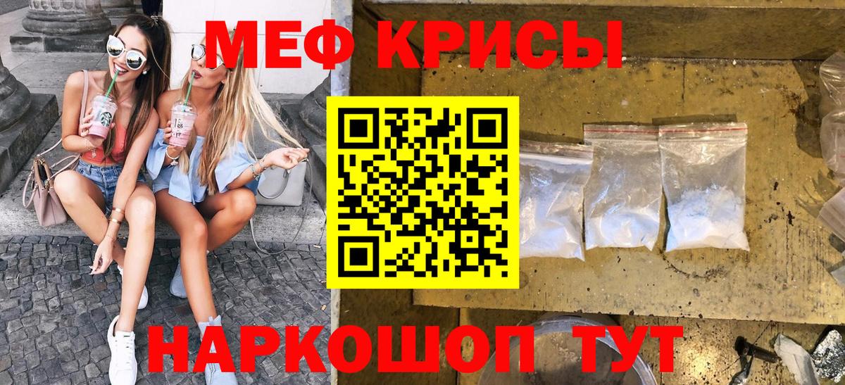 МЕФ  Вход с VPN  Гатчина  МЯУ-МЯУ мяу мяу 