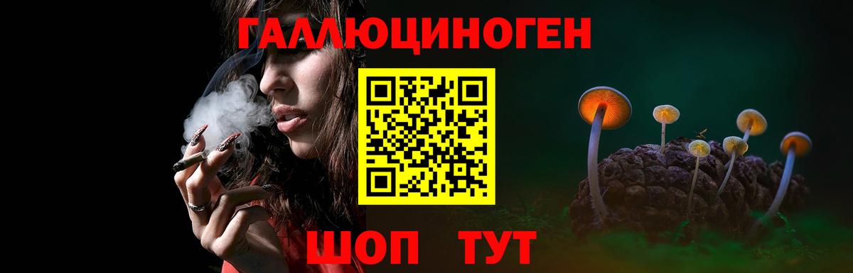 Псилоцибиновые грибы Psilocybine cubensis  Псилоцибиновые грибы Psilocybe  Вход с VPN  Гатчина 